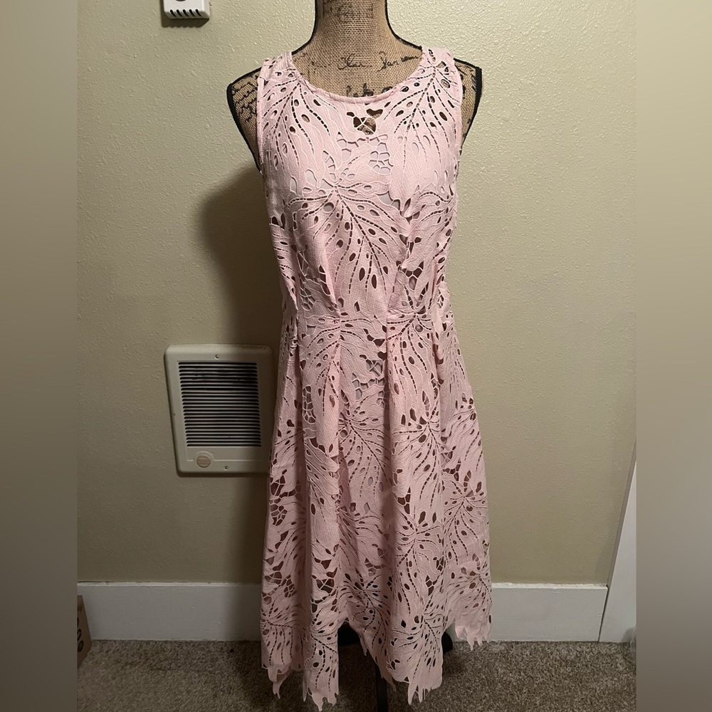 Anthropologie brand - Eva Franco Lace Palm Dress